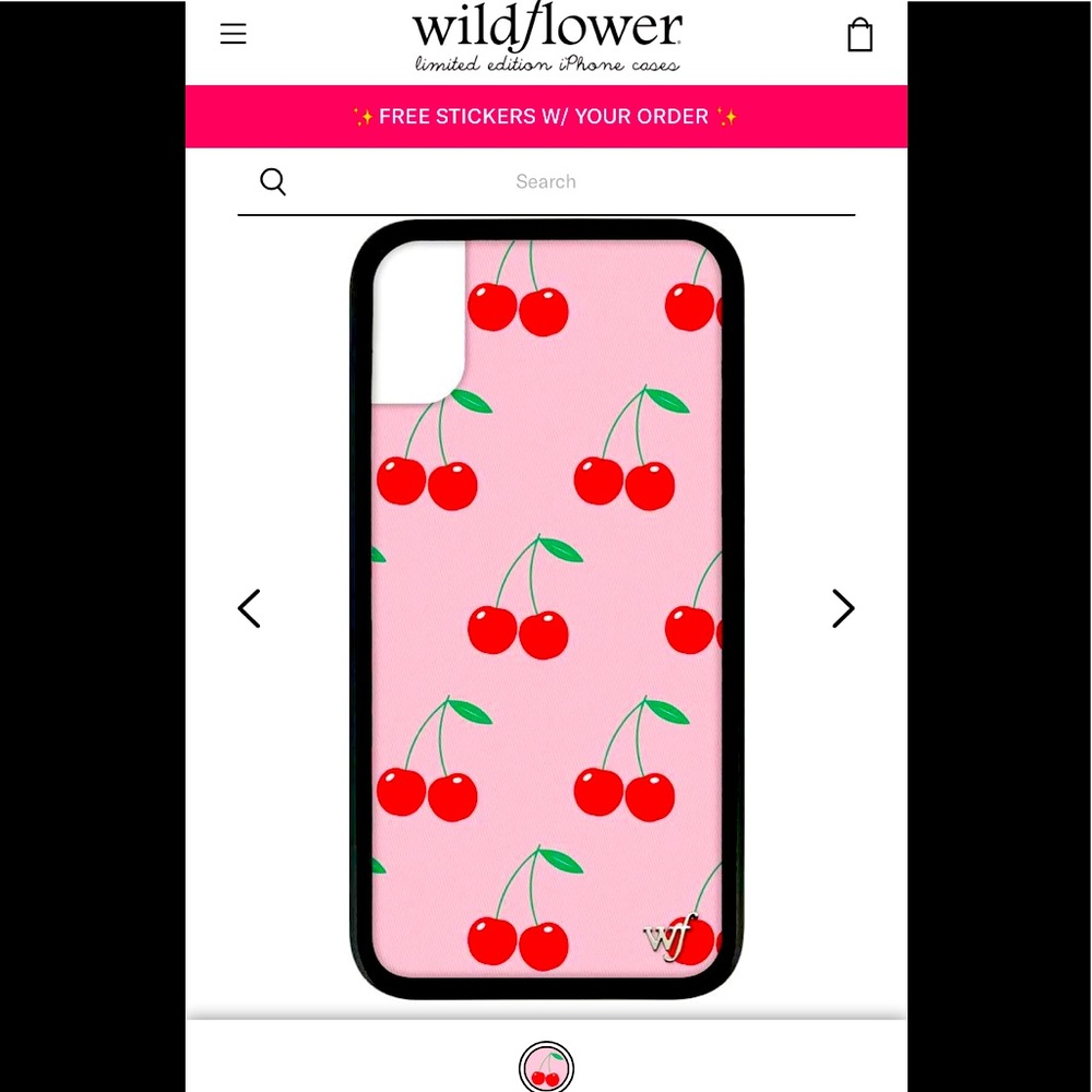iPhone case xr